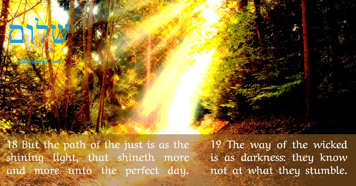 light and darkness - path of the just