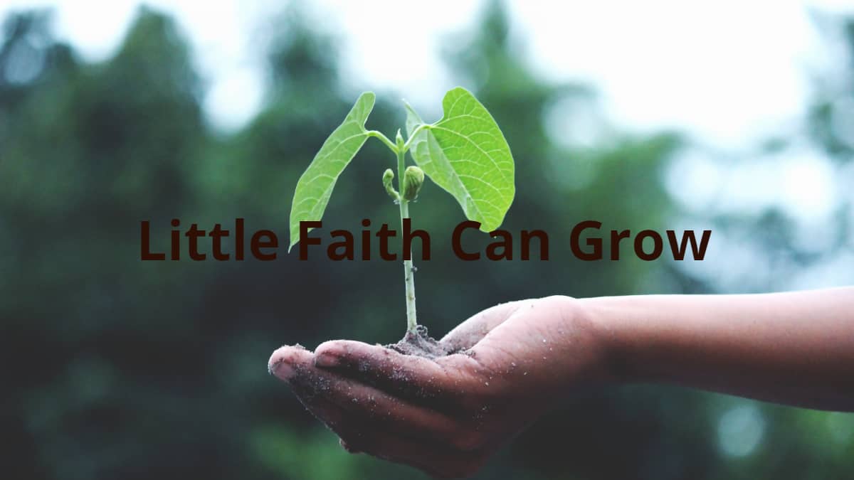 Little Faith Can Grow