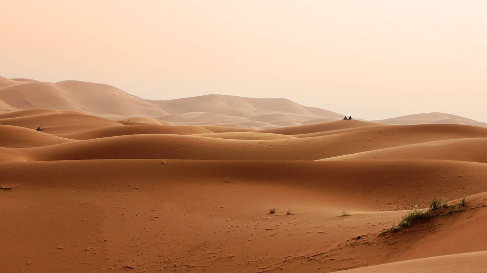 exodus 16 God's provision in the desert