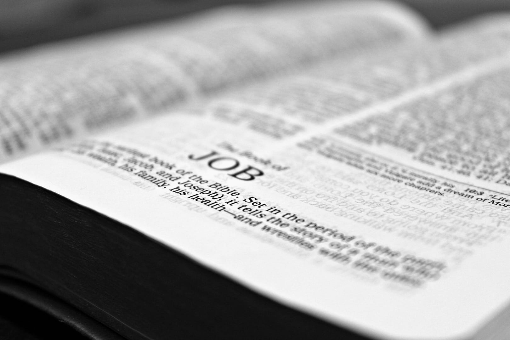 job bible Passage 4: More Than My Necessary Food 1 Job Shalom101.com