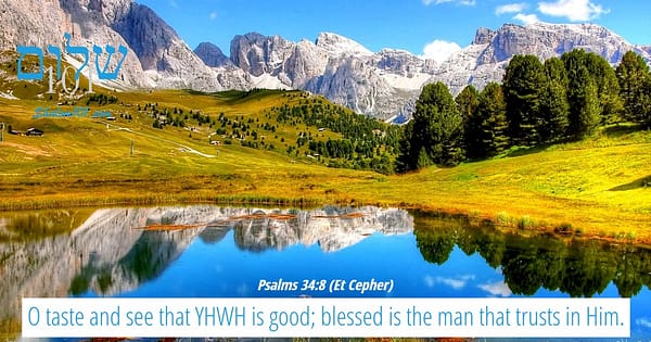 The goodness of God
