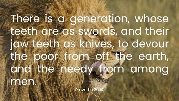 proverbs_30_14