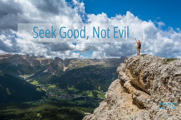 seek good and not evil shalom101