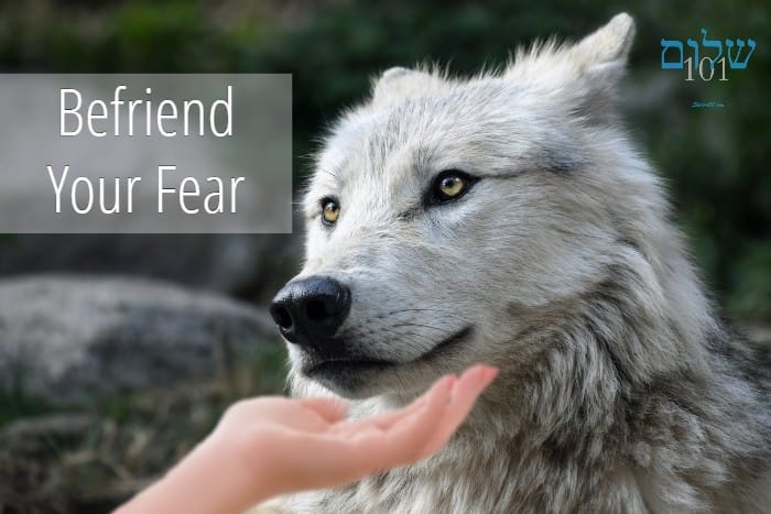 Befriend Your Fear 2