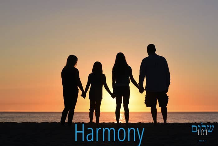 Shalom101.com Harmony